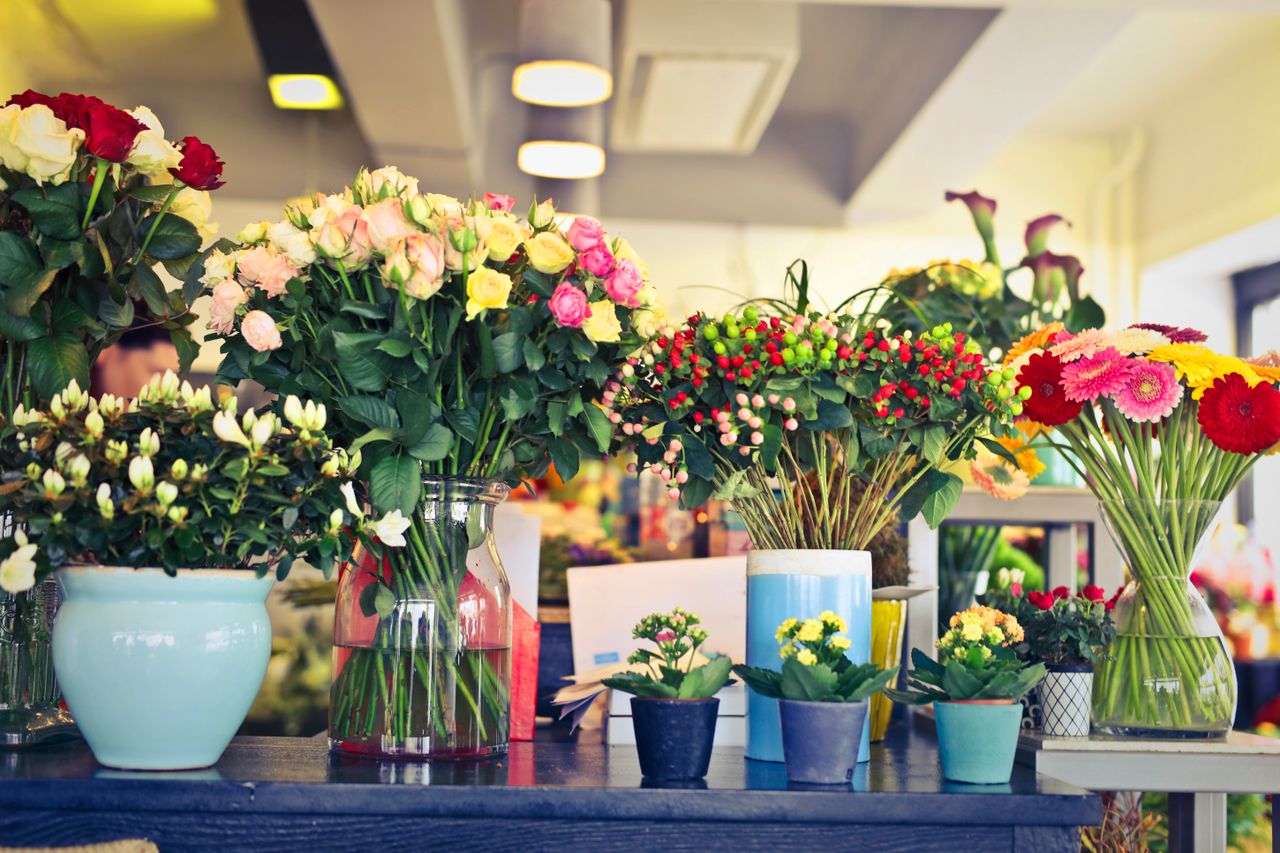 The Art of Drawing Readers In: Your attractive post title goes here A colorful array of flowers in various vases inside a modern florist shop.